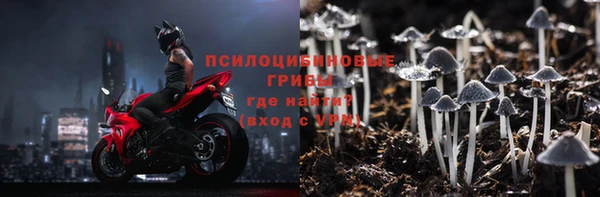 стаф Баксан