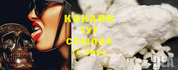 стаф Баксан