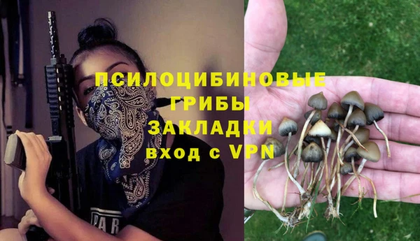 стаф Баксан