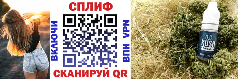 закладки  Шагонар  нарко площадка какой сайт  Бошки марихуана Bruce Banner 